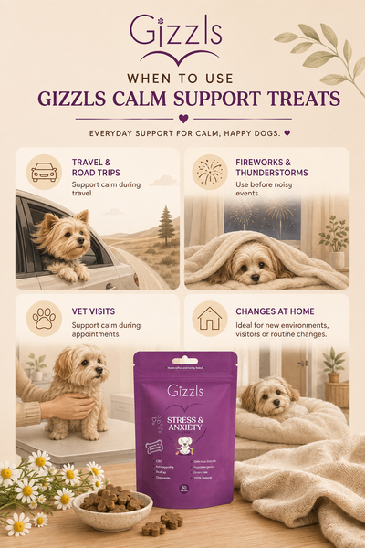 Gizzls Small Dog Calm Support CBD Treats | 50 Treats