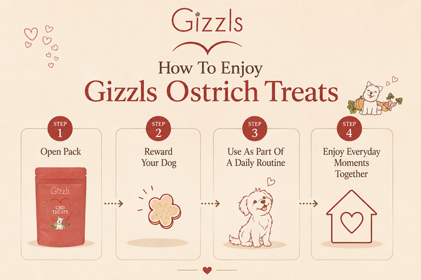 Gizzls Small Dog Ostrich CBD Treats
