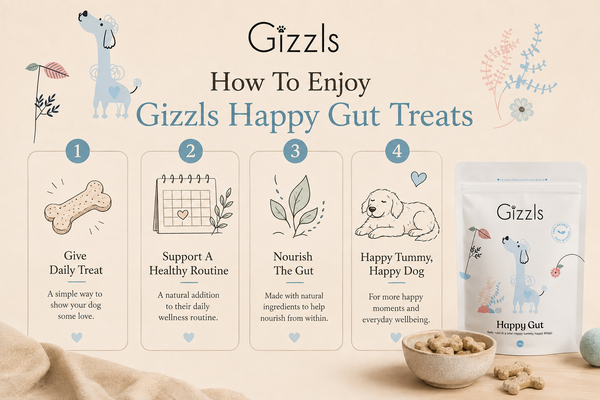 Gizzls Happy Gut Dog Treats | 100g / 200g