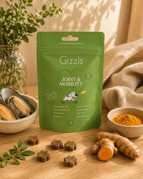Gizzls Small Dog Joint & Mobility CBD Treats | 50 Treats