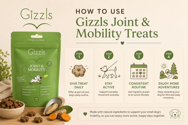 Gizzls Small Dog Joint & Mobility CBD Treats | 50 Treats