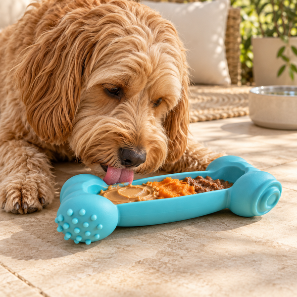 Freezable Fillable Bone Dog Chew Toy