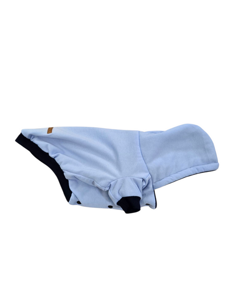 Hoodie | Baby Blue Lined