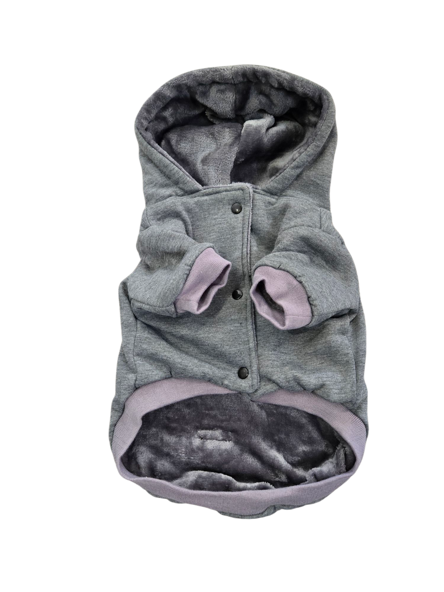 Hoodie | Winter's Day Lined