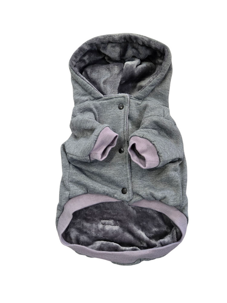 Hoodie | Winter's Day Lined