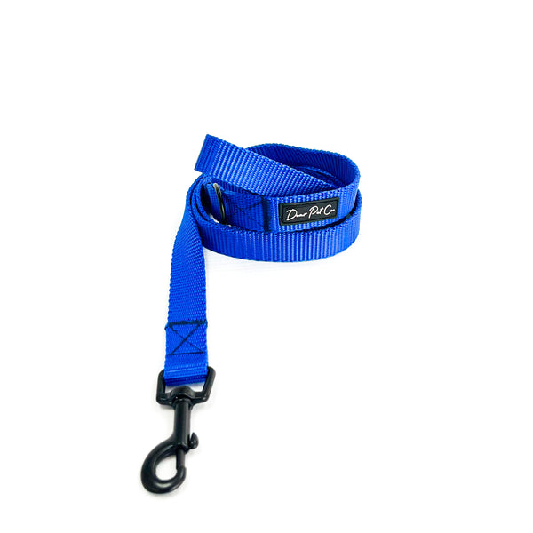 Webbing Leash | Blue