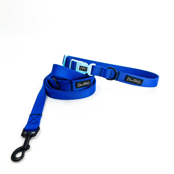 Webbing Leash | Blue