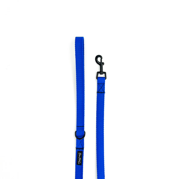 Webbing Leash | Blue