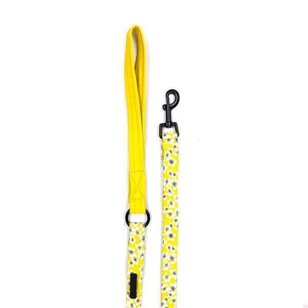 Combo Leash | Daisy Fields x Yellow