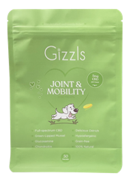 Gizzls | Large Dog Joint & Mobility CBD Treats (50 Treats)