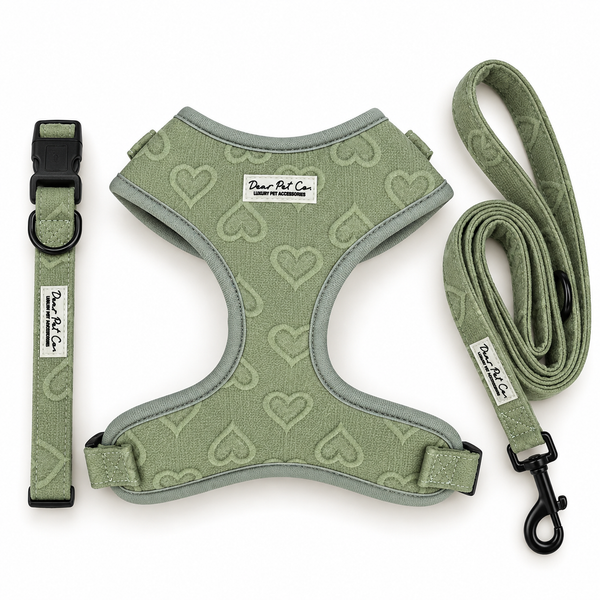 Dear Pet Co | Love in the Leaves Walk & Wear Bundle