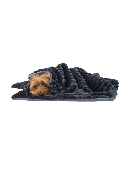 Luxury Blanket | Plush Curduroy