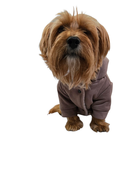 Hoodie | Mocha Cozy Lined