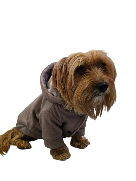 Hoodie | Mocha Cozy Lined