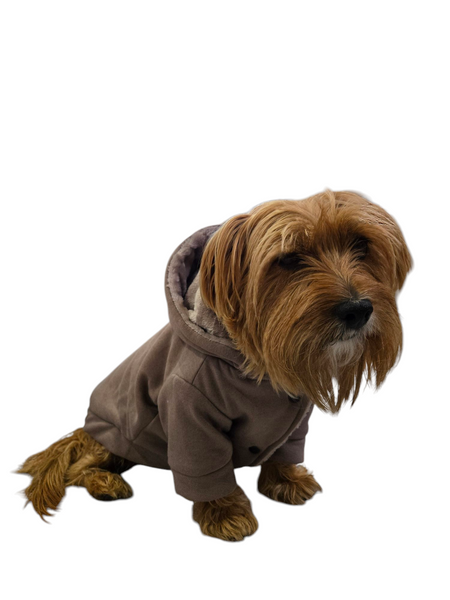 Hoodie | Mocha Cozy Lined