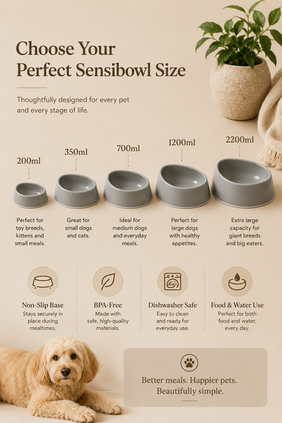 Moderna Sensibowl Pet Bowl