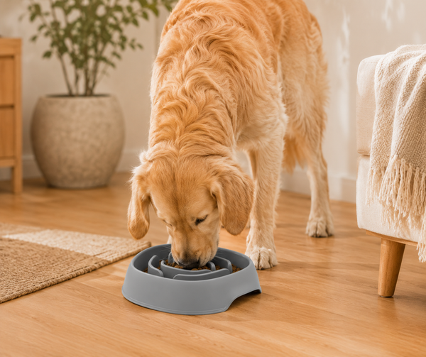 Moderna Slomo Slow Feeder | 950ml