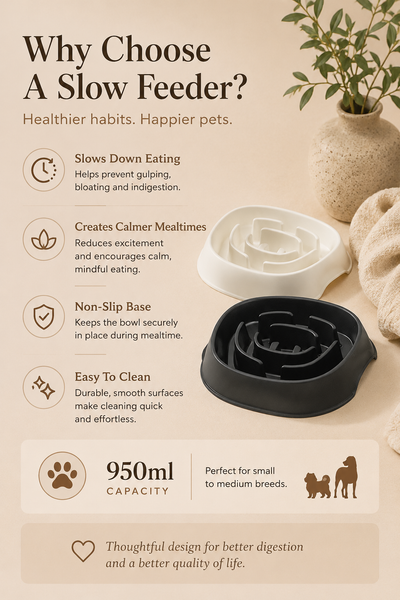 Moderna Slomo Slow Feeder | 950ml