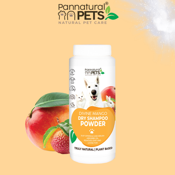 Pannatural Natural | Dry Shampoo powder – Devine Mango