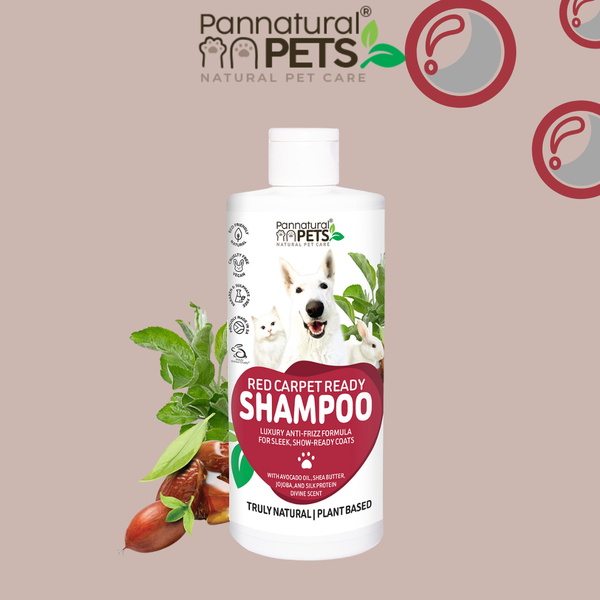 Pannatural Natural Pet Shampoo Red Carpet Ready