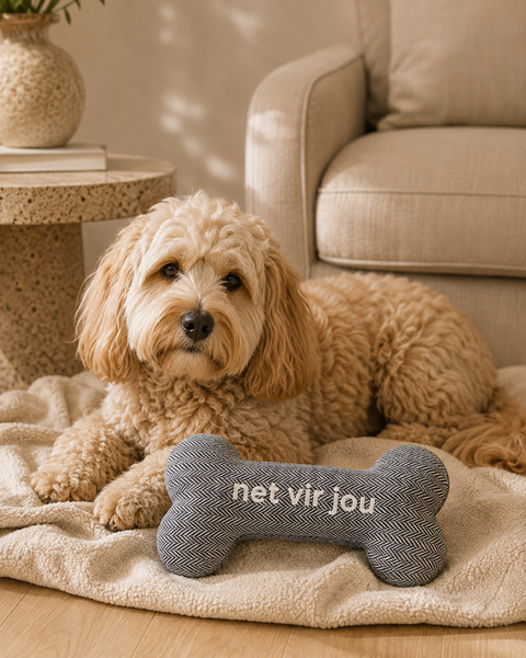 Dear Pet Co Squeaky Bone Toy | Net Vir Jou