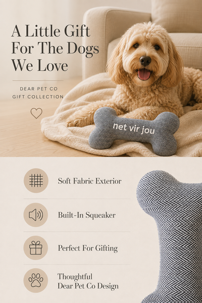 Dear Pet Co Squeaky Bone Toy | Net Vir Jou