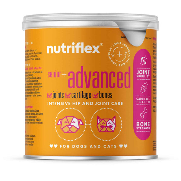 Nutriflex senior + advanced pet food can for dogs and cats on a white background