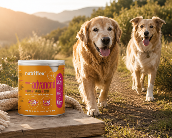 NutriFlex® Collagen For Dogs+Cats Advanced Mobility Complex (150g/250g)