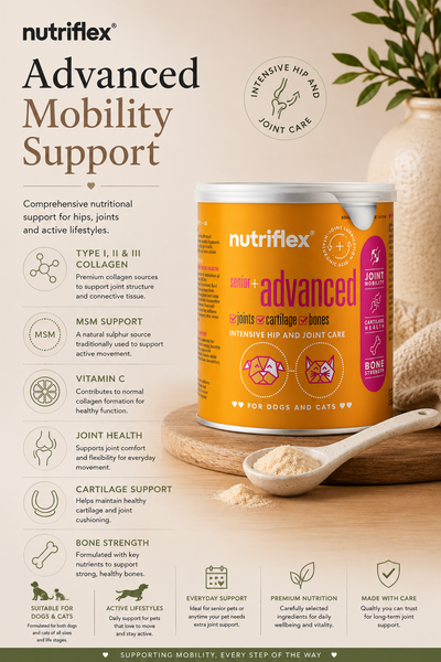 NutriFlex® Collagen For Dogs+Cats Advanced Mobility Complex (150g/250g)