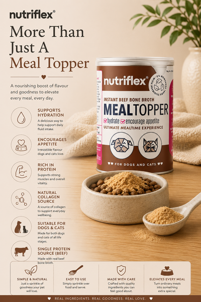 NutriFlex® Bone Broth Meal Topper | Powder Concentrate