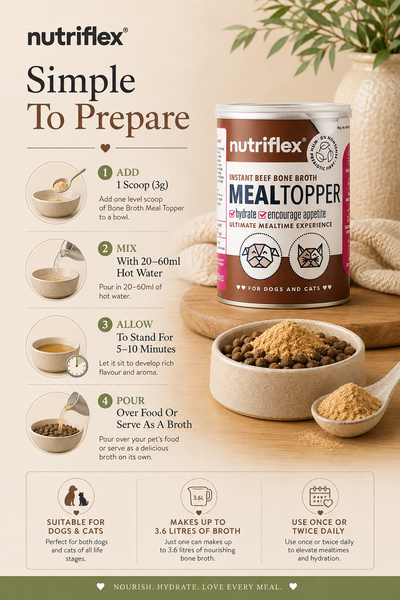 NutriFlex® Bone Broth Meal Topper | Powder Concentrate