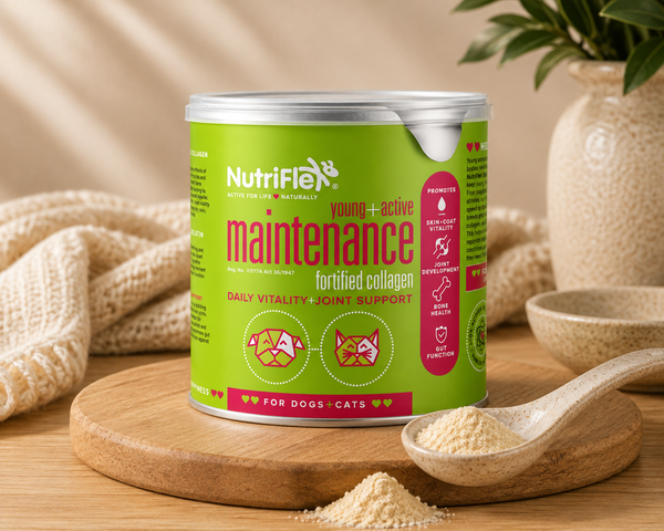 NutriFlex® Daily Maintenance Collagen | Joint & Mobility Support
