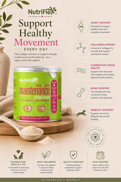 NutriFlex® Daily Maintenance Collagen | Joint & Mobility Support