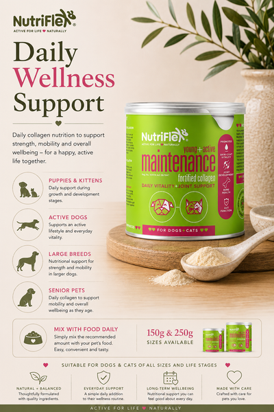 NutriFlex® Daily Maintenance Collagen | Joint & Mobility Support