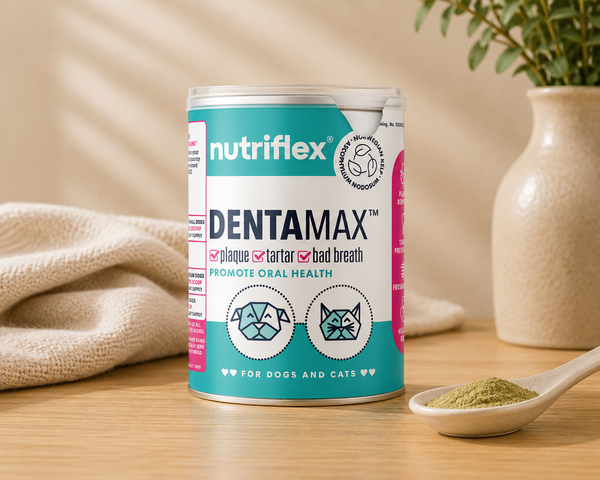 NutriFlex® DentaMax Oral Hygiene Dental Powder