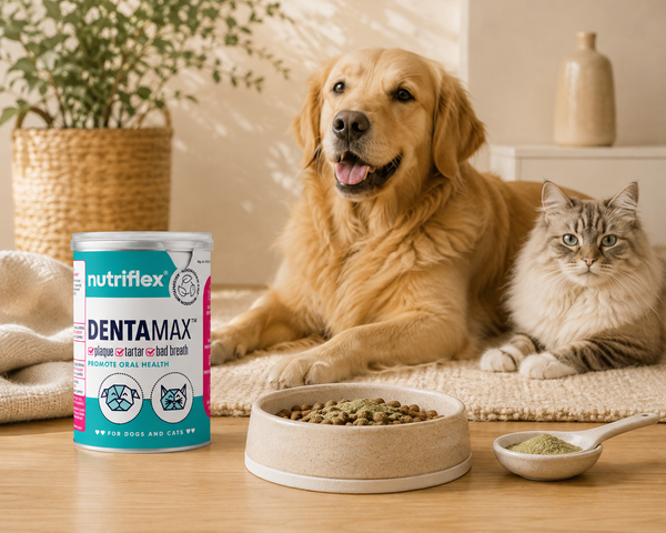 NutriFlex® DentaMax Oral Hygiene Dental Powder