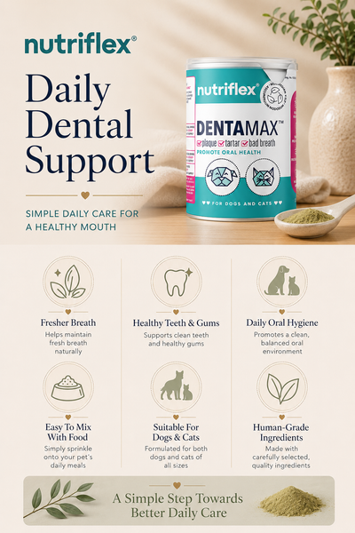 NutriFlex® DentaMax Oral Hygiene Dental Powder