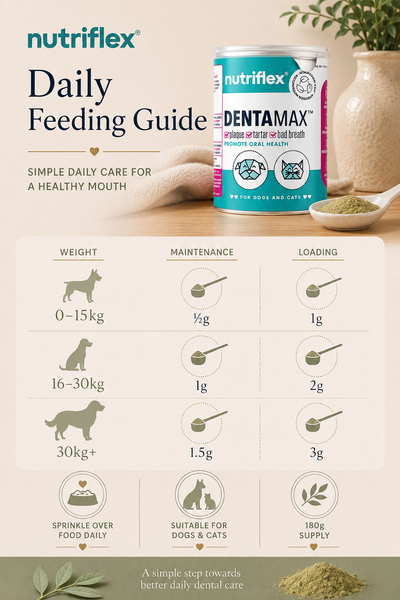 NutriFlex® DentaMax Oral Hygiene Dental Powder