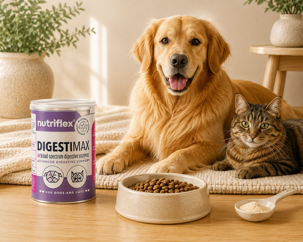 NutriFlex® DigestiMax | Probiotic & Digestive Support | 180g