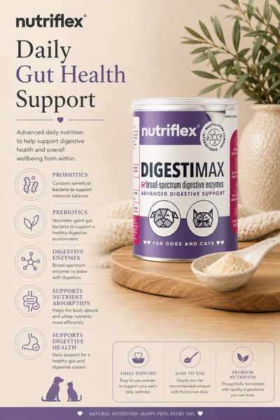 NutriFlex® DigestiMax | Probiotic & Digestive Support | 180g