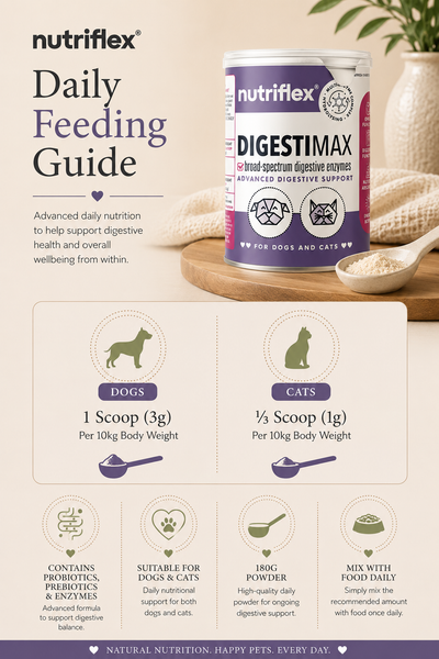 NutriFlex® DigestiMax | Probiotic & Digestive Support | 180g