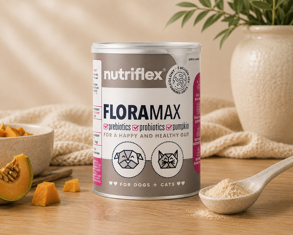 NutriFlex® FloraMax | Probiotic & Prebiotic Digestive Support | 180g
