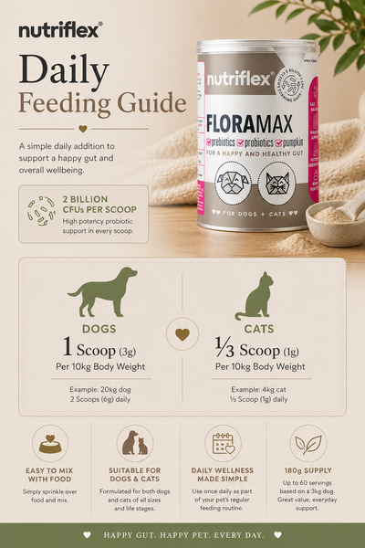 NutriFlex® FloraMax | Probiotic & Prebiotic Digestive Support | 180g