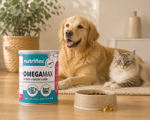 NutriFlex® OmegaMax | Omega-3 Fish Oil Softgels