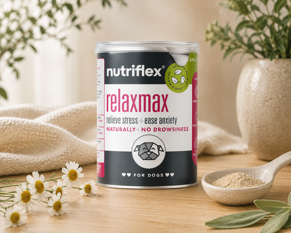 NutriFlex® RelaxMax Powder | 180g