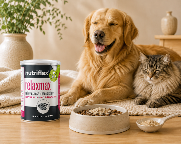 NutriFlex® RelaxMax Powder | 180g