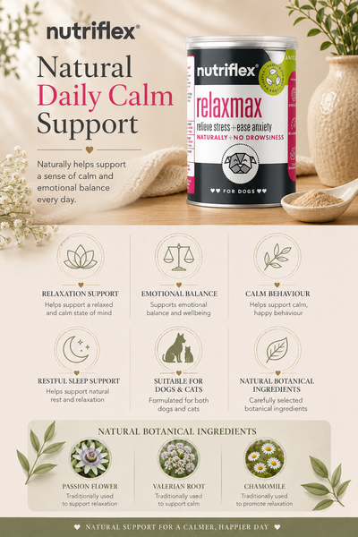 NutriFlex® RelaxMax Powder | 180g
