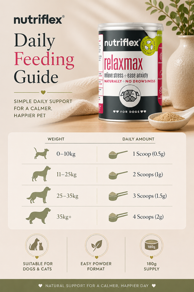 NutriFlex® RelaxMax Powder | 180g