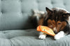 Outward Hound | Durablez Mini Chicky