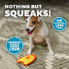 Outward Hound | Durablez Mini Chicky